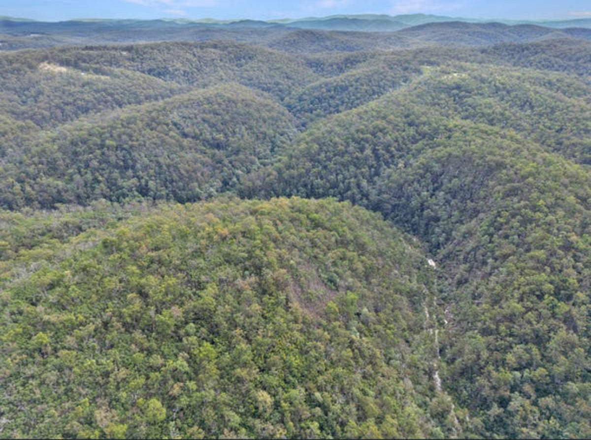 Aerial view across wooded ridgelines and bushland at Obsidian Ridge