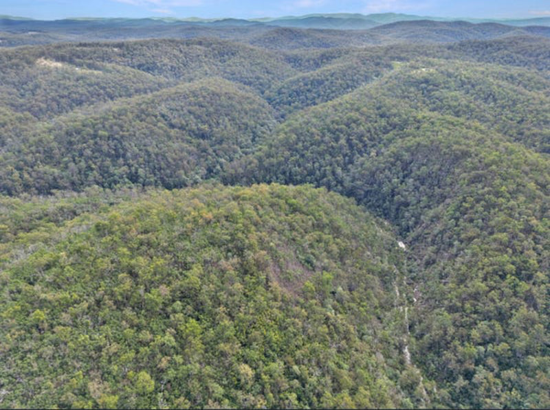 Aerial view across wooded ridgelines and bushland at Obsidian Ridge