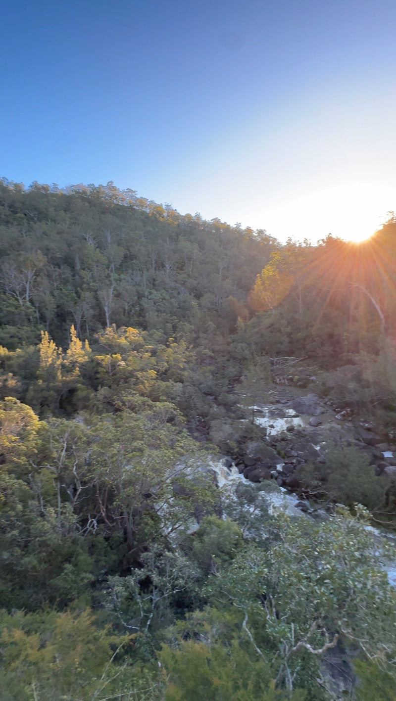 Sunset over the wooded valley and creek, photographed from Ridge West